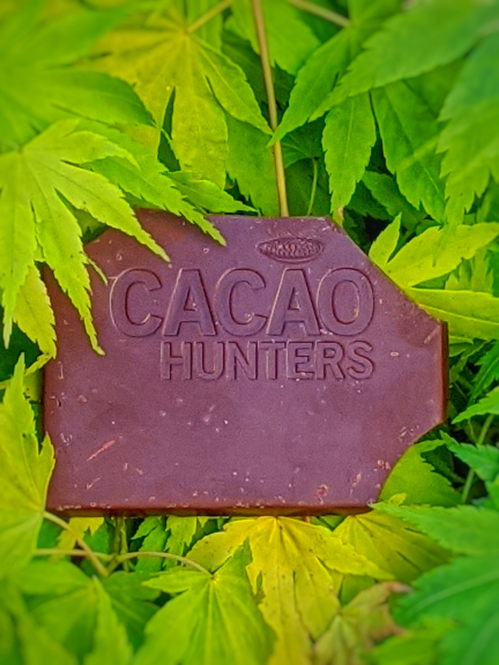 cacao-hunters_2
